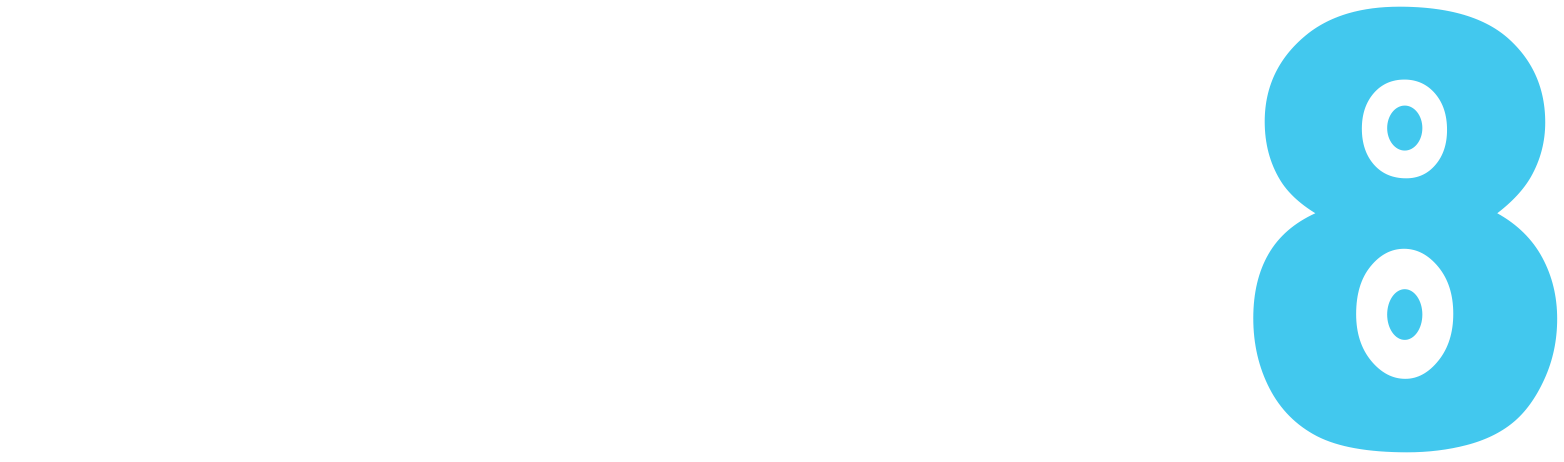 VoIP8 Logo